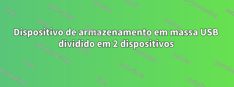 Dispositivo de armazenamento em massa USB dividido em 2 dispositivos