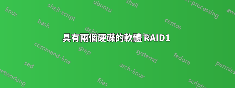 具有兩個硬碟的軟體 RAID1