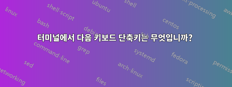 터미널에서 다음 키보드 단축키는 무엇입니까?