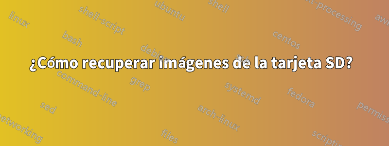 ¿Cómo recuperar imágenes de la tarjeta SD? 