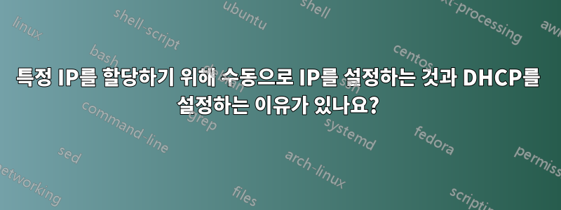 특정 IP를 할당하기 위해 수동으로 IP를 설정하는 것과 DHCP를 설정하는 이유가 있나요?