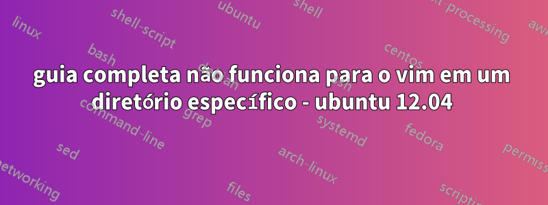 guia completa não funciona para o vim em um diretório específico - ubuntu 12.04