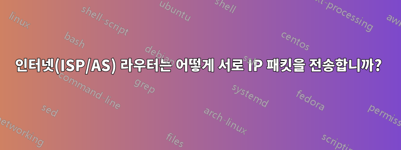 인터넷(ISP/AS) 라우터는 어떻게 서로 IP 패킷을 전송합니까?