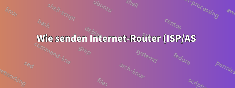 Wie senden Internet-Router (ISP/AS) untereinander IP-Pakete?