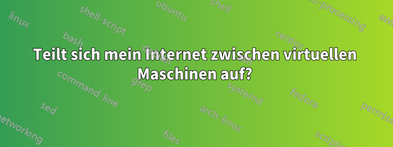 Teilt sich mein Internet zwischen virtuellen Maschinen auf?