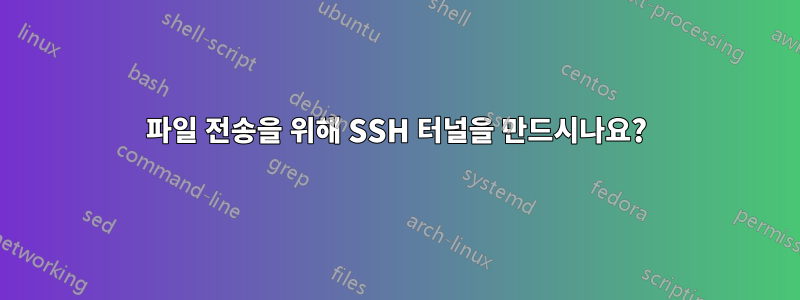 파일 전송을 위해 SSH 터널을 만드시나요?