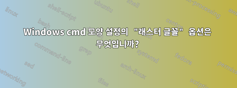 Windows cmd 모양 설정의 "래스터 글꼴" 옵션은 무엇입니까?