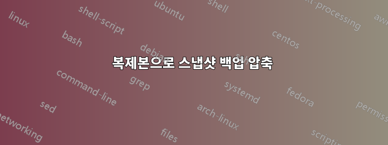 복제본으로 스냅샷 백업 압축