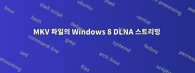 MKV 파일의 Windows 8 DLNA 스트리밍