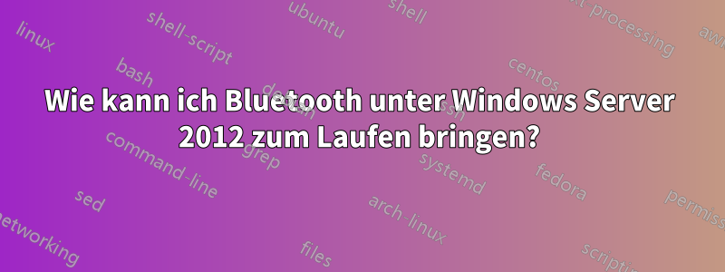 Wie kann ich Bluetooth unter Windows Server 2012 zum Laufen bringen?