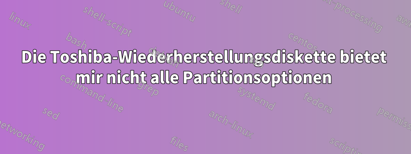 Die Toshiba-Wiederherstellungsdiskette bietet mir nicht alle Partitionsoptionen