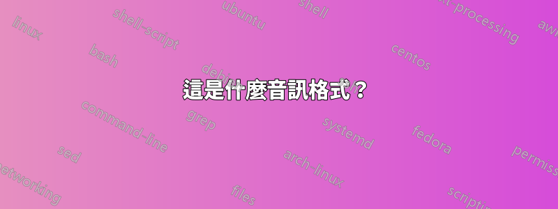 這是什麼音訊格式？