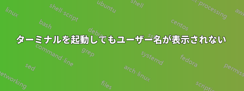 ターミナルを起動してもユーザー名が表示されない