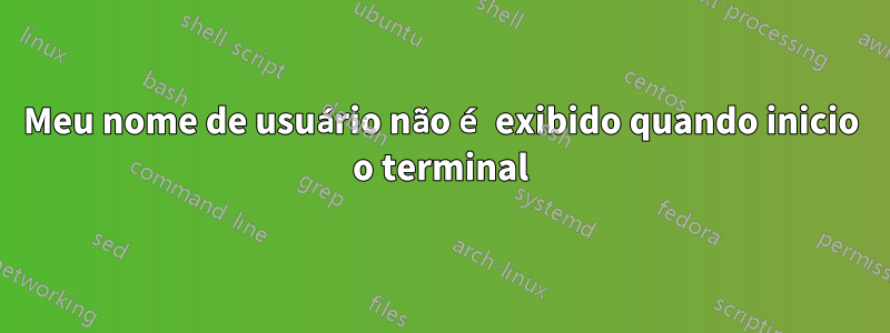 Meu nome de usuário não é exibido quando inicio o terminal