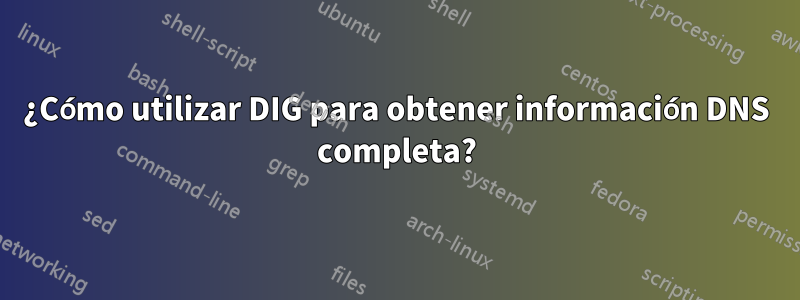 ¿Cómo utilizar DIG para obtener información DNS completa?