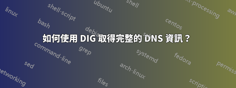 如何使用 DIG 取得完整的 DNS 資訊？