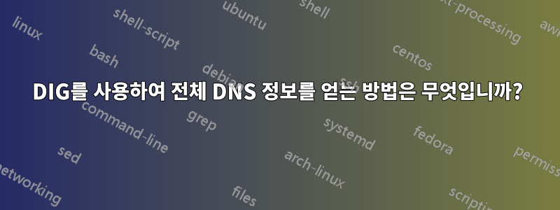 DIG를 사용하여 전체 DNS 정보를 얻는 방법은 무엇입니까?