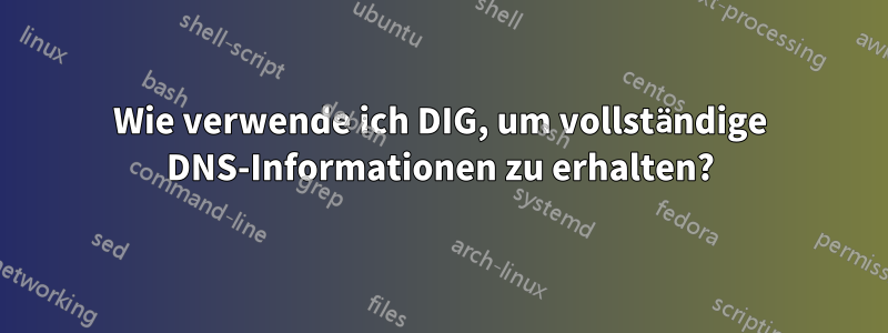 Wie verwende ich DIG, um vollständige DNS-Informationen zu erhalten?