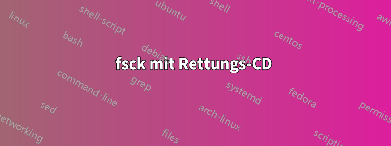 fsck mit Rettungs-CD