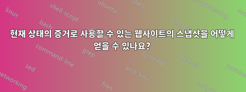 현재 상태의 증거로 사용할 수 있는 웹사이트의 스냅샷을 어떻게 얻을 수 있나요?