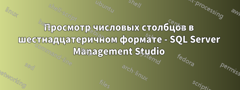 Просмотр числовых столбцов в шестнадцатеричном формате - SQL Server Management Studio