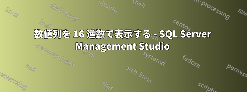 数値列を 16 進数で表示する - SQL Server Management Studio