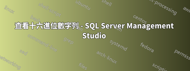 查看十六進位數字列 - SQL Server Management Studio