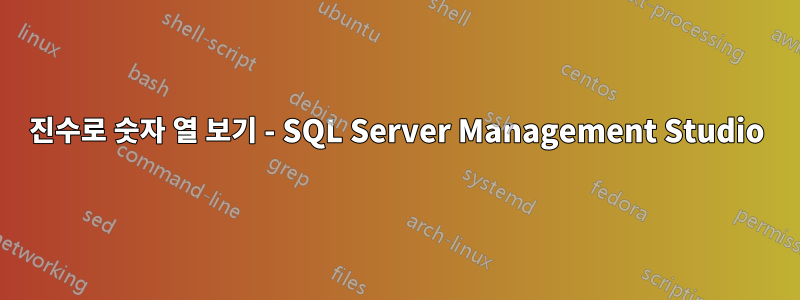 16진수로 숫자 열 보기 - SQL Server Management Studio