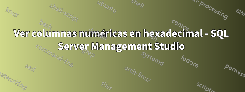 Ver columnas numéricas en hexadecimal - SQL Server Management Studio