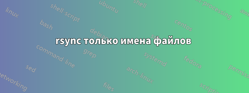 rsync только имена файлов