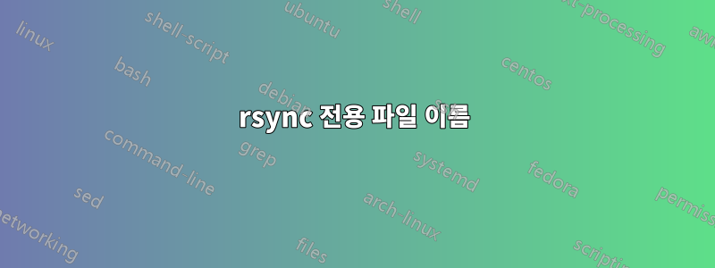 rsync 전용 파일 이름