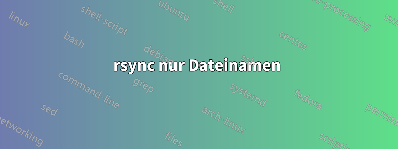 rsync nur Dateinamen