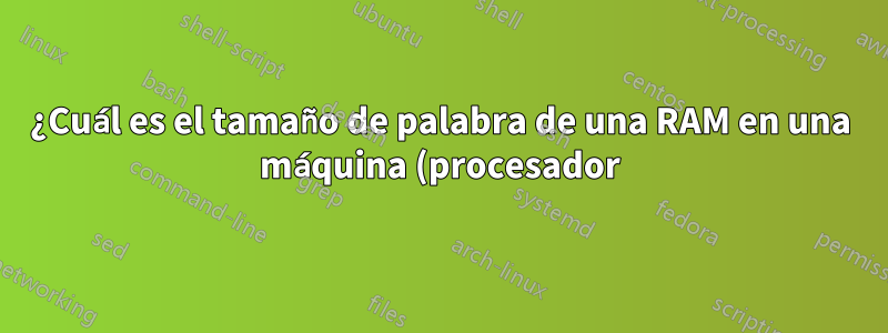 ¿Cuál es el tamaño de palabra de una RAM en una máquina (procesador) de 32/64 bits?