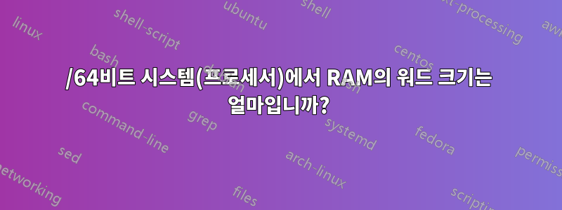 32/64비트 시스템(프로세서)에서 RAM의 워드 크기는 얼마입니까?