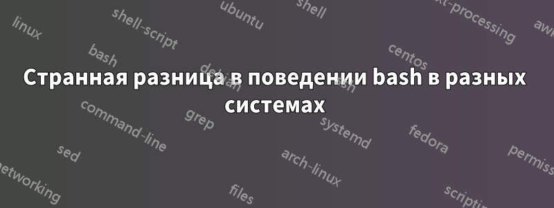 Странная разница в поведении bash в разных системах