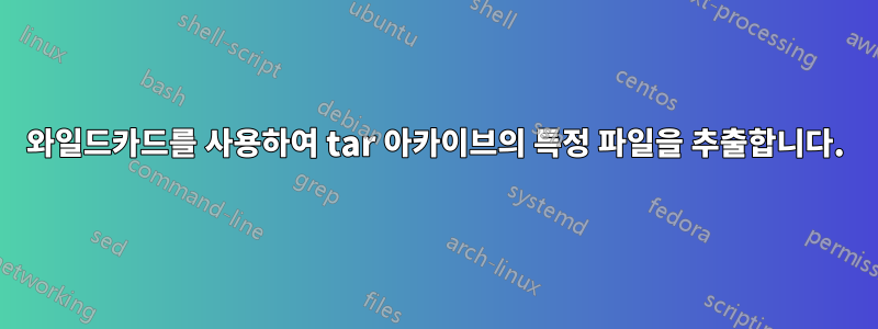 와일드카드를 사용하여 tar 아카이브의 특정 파일을 추출합니다.