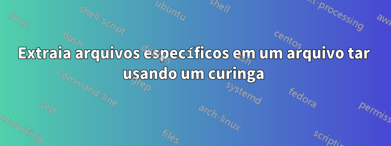 Extraia arquivos específicos em um arquivo tar usando um curinga