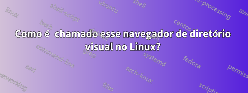 Como é chamado esse navegador de diretório visual no Linux?