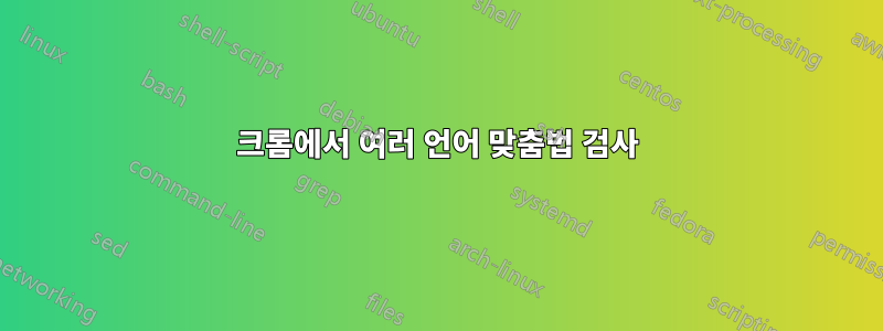 크롬에서 여러 언어 맞춤법 검사