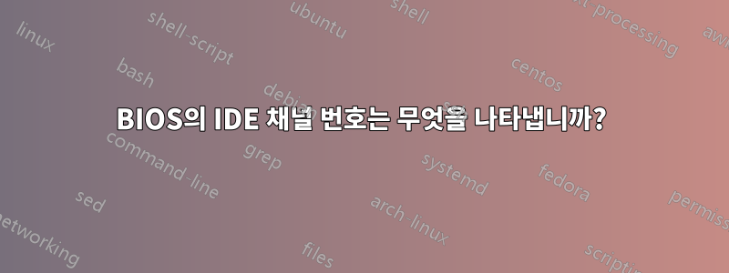 BIOS의 IDE 채널 번호는 무엇을 나타냅니까?