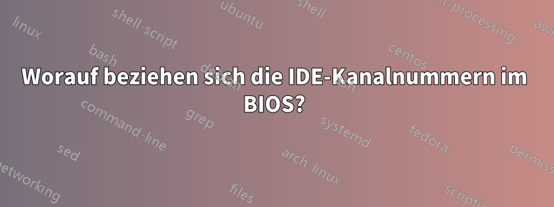 Worauf beziehen sich die IDE-Kanalnummern im BIOS?