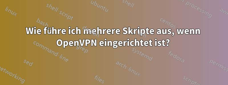 Wie führe ich mehrere Skripte aus, wenn OpenVPN eingerichtet ist?