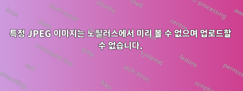 특정 JPEG 이미지는 노틸러스에서 미리 볼 수 없으며 업로드할 수 없습니다.