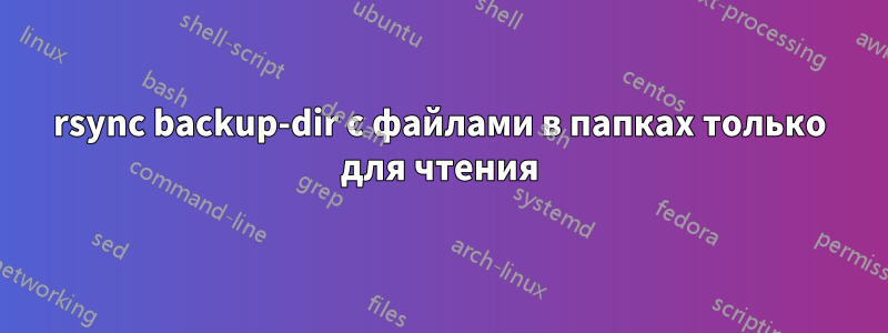 rsync backup-dir с файлами в папках только для чтения