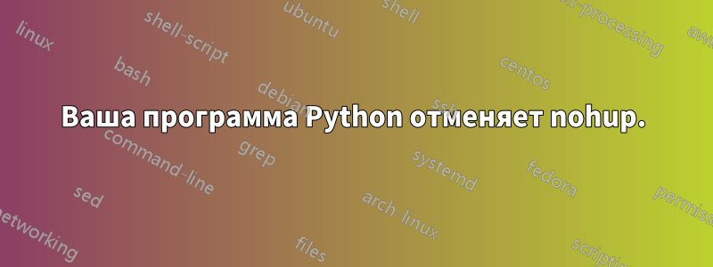 Ваша программа Python отменяет nohup.