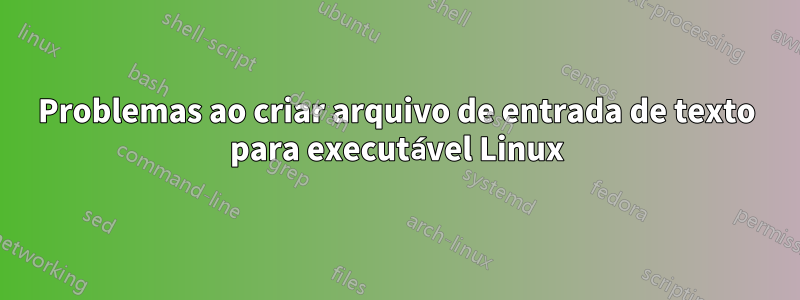 Problemas ao criar arquivo de entrada de texto para executável Linux