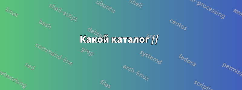 Какой каталог // 