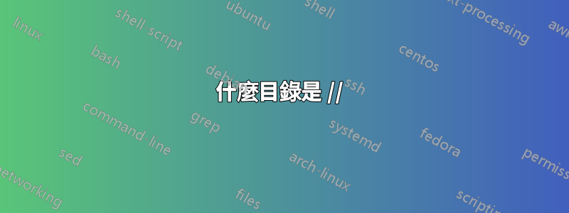 什麼目錄是 // 