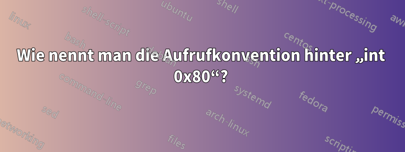 Wie nennt man die Aufrufkonvention hinter „int 0x80“?