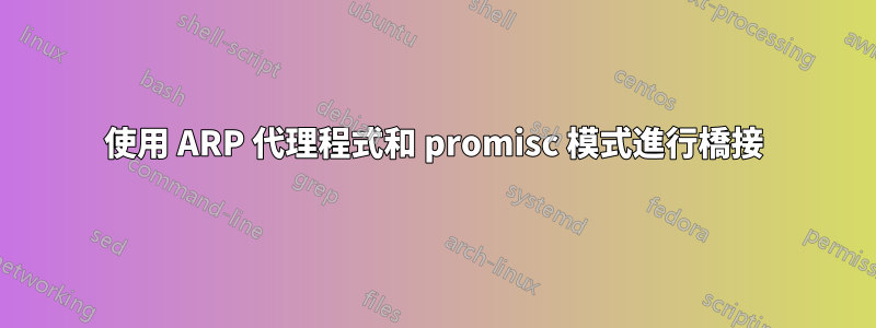 使用 ARP 代理程式和 promisc 模式進行橋接